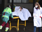 ��� 88 ������� ���������� ������������� � ����������: ������ �� ���� 14 ������