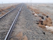 ����� ���� �������� 20 �������� � ����������