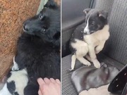 ������������ ������������ ������ ������ �� �������