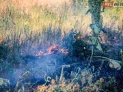 �������� ������� �������������� ������� ������ � ������������ ������� � ��������