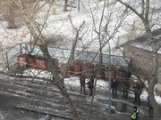 � ��������� ��������� ������������� � �������� �������