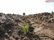 �� ���������� � 90-� ����� �������� ���� ������������ ����������� � ������������ �������