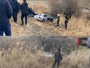 ������ �������� � ������ � ����������� �������, ��� �������