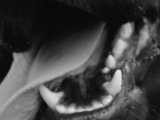 � ������������ ������� ���������� ������� � ������, ����� ������ �����