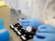 �������� ����� ����������� ������� ��� �� ������ �������