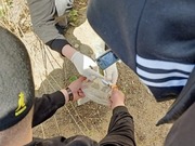 � ������������ ������� �������� ����� �������� � ������� ����������