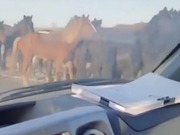 ������ ������ �� �����: ����������� ����������� ��������� ������