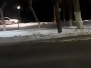 ������ ��������� �������� �� ���� �� �������� ��������