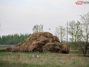 ��-�� ������� ������� ��������� � ������������ ������ ������� 12 ����� ����