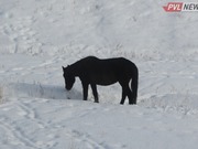 ��������� �������� ������� ������� ���������� � ������������ �������