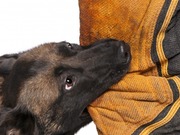 ��������� �������� ���� �������� ����� � ������