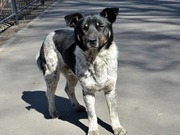 ��������� ������ ����� ���� �������� �� ����������