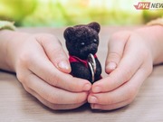 ������ ���������� ����������� � ������ �� ����� �������� ������ �������