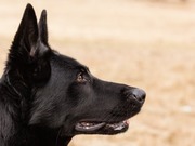 ������������ ���� ����� �� ����� ��������� �������