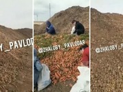 ���� ��������� � ������� ��������� � ����� ������������ �������