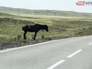 ������������ ������� ���������� � ������� �� ������������ ������