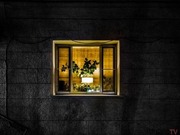 ��������� �������� � ��������� ������ �� ���� � ��������� ��������� 12 ���