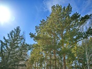 �� ��� �������� ���������� � ������������ ������� � ��������� ��� ����