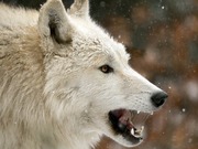 ��������� ���� ������� ��������� �� ������ ����� � ������������ �������