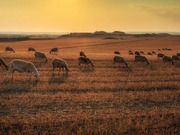 ����� �� Hyundai ���� ����� ����: ������� 35 ����� ����� (�����)