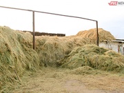 � ������������ ������� ������� ������������� ����� ��� ������ � ������� �������������������