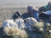 �� ���������� ���� �������� �������� ������ ������������ �������