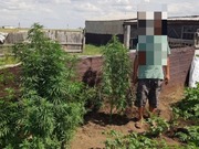 � ���������� ����� ������ �� ������� ������� ��������� � ������������ �������