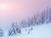 � ���-������� � 13 �������� �������� ��������� ��������������