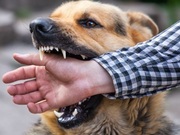 � ��������� ������ ����������� �� ����������