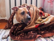 � ���� ������������ ���� �������� �� ����� ��������� � ������� ����