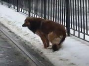 ������������ ������ ��������� ���� ���� ������� �� ���������� ���������