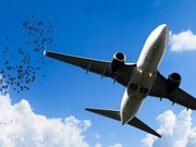 ������������� ������������� ��������� ������ ��� ������������