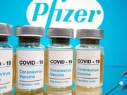 Pfizer     