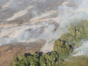 ������� ����� � ����� ����������� �� ��� � ���