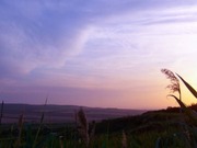 ����� ������ ���� ������������ � ����