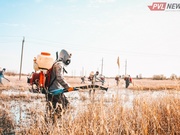 ������������ ���������� ������ ���������� �����������