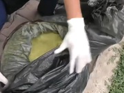 ����������� ������ �� ��������� ����������� � ���-������� ������ �� �����