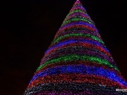 �� ������� ������� �������� ���������� ����?