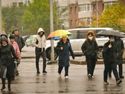 ������������ �������� ������ �� ������������ � ����������