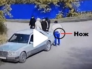 ����� ������������: ������� �������� � ������������ ��� ���������, �������� � �������� � ����