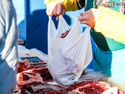 ������������ ���� ������ � ������� ����������� �����: ��� �������� ����������� ��������������