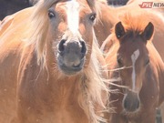 ��������� � ������������ ������� ����� � �������� ����� ����� ������