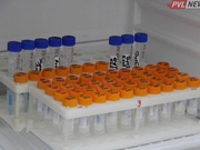  � ������������ ������� ����� ��������� �������� COVID-��������������