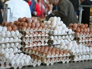 �� 16% ���������� ���� � ���������� �� ���