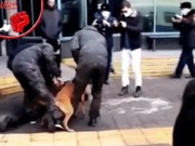 �� ����� ������ ���������� ������������� �� ������� � ������