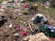 ��������� �������� � ����������� ���� ��������� ��������� ������ ����� � �������� � ���������