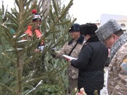 ��� ������, ������!�: � ������������ ������� ������� � ����������� ���������� � �������� ����