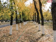 � ��������� ������� ����� �������� ���������