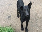 ����� � ����� ������: ������������ ������������ ��������� ����������� ��������