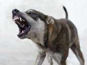 ��������� �� ������ ������ ������ �� ��������� � ������������ �������